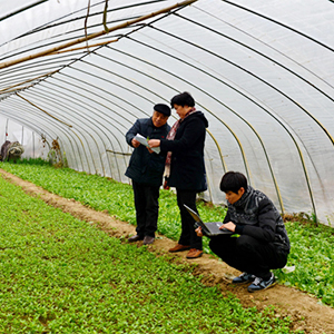 安徽各地全力保障农业生产安全-安