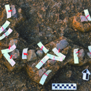 合肥市区首次发现古人类与旧石器时
