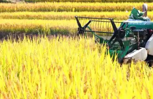 “含新量”满满！“十四五”合肥交