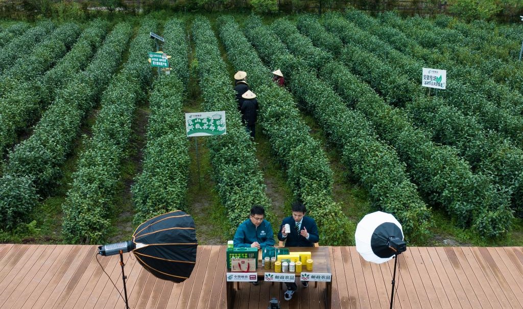 从深山云雾到都市茶杯：从一件包裹