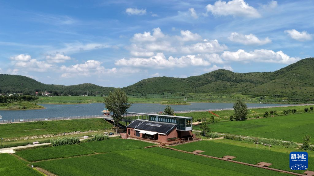稻田图书馆激活乡村消费新场景-近