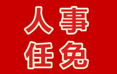 滁州市人民政府发布人事任免名单