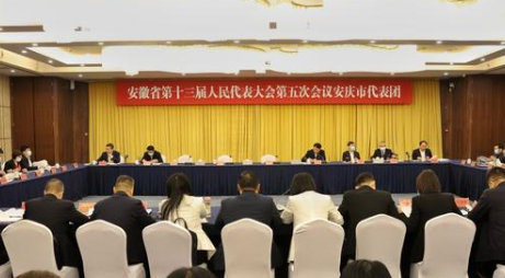 王清宪在安庆代表团审议《政府工作报告》