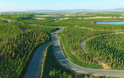 安徽省5个国家储备林建设项目获贷款支持